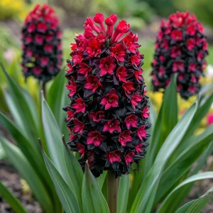 Гиацинт Джем Стоун купить по цене от 2099р. в интернет-магазине «Посадика» с доставкой почтой в в Кодинске и по всей России – [изображение №1].