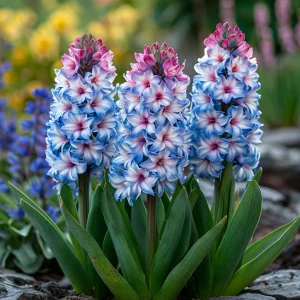 Гиацинт Пинк Мари купить по цене от 2099р. в интернет-магазине «Посадика» с доставкой почтой в в Кодинске и по всей России – [изображение №1].