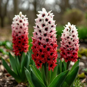 Гиацинт Скай Гарден купить по цене от 2099р. в интернет-магазине «Посадика» с доставкой почтой в в Кодинске и по всей России – [изображение №1].